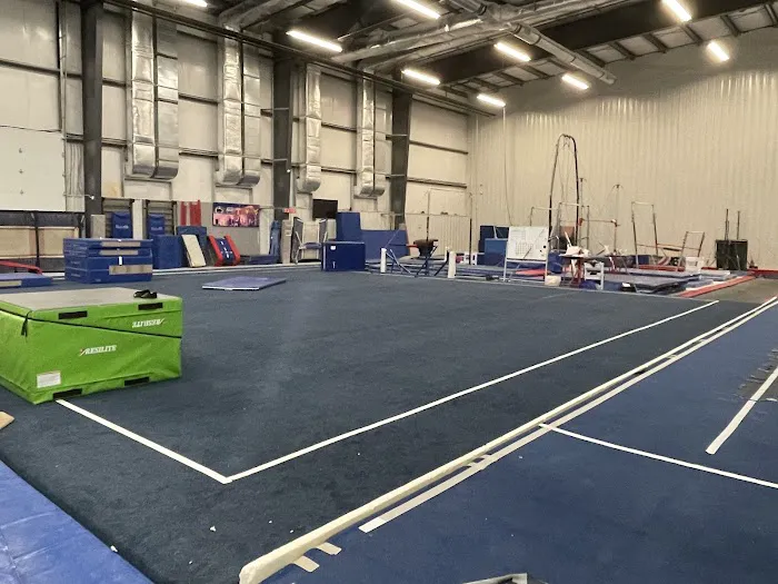 Centre Elite Gymnastics Inc Picture 3
