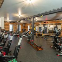 Chi Hive Gym + Wellness ico