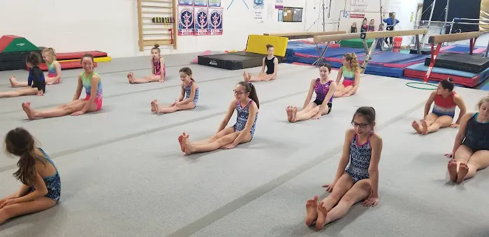 Pike Gymnastics Academy Picture 2