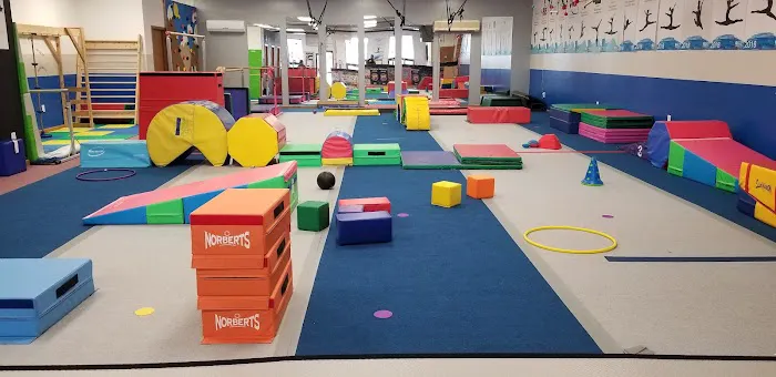 Pike Gymnastics Academy Picture 9