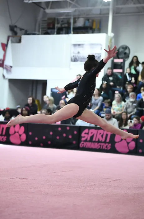 Pike Gymnastics Academy Picture 10