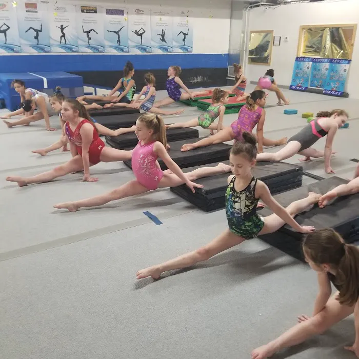 Pike Gymnastics Academy Picture 3