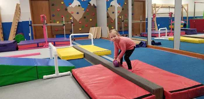 Pike Gymnastics Academy Picture 4