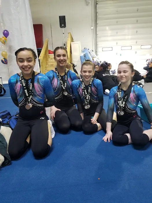 Pike Gymnastics Academy Picture 5