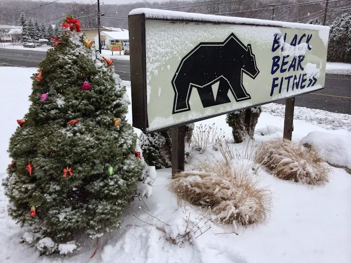 Black Bear Fitness Picture 10