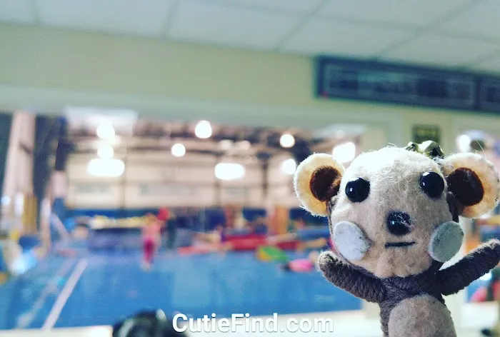 Gymnastics Inc Picture 2