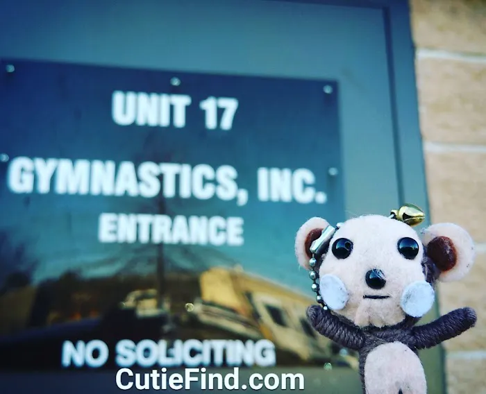 Gymnastics Inc Picture 1