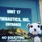Gymnastics Inc