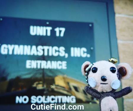 Gymnastics Inc