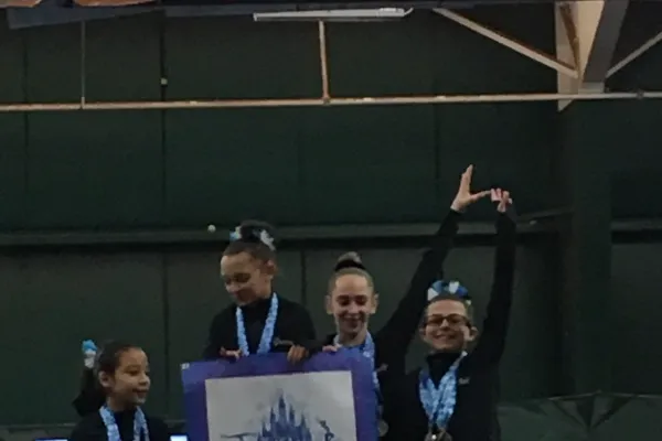 Gymnastics Inc Picture 3