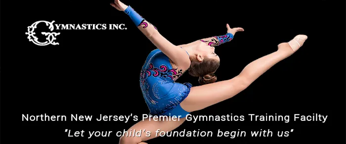 Gymnastics Inc Picture 7