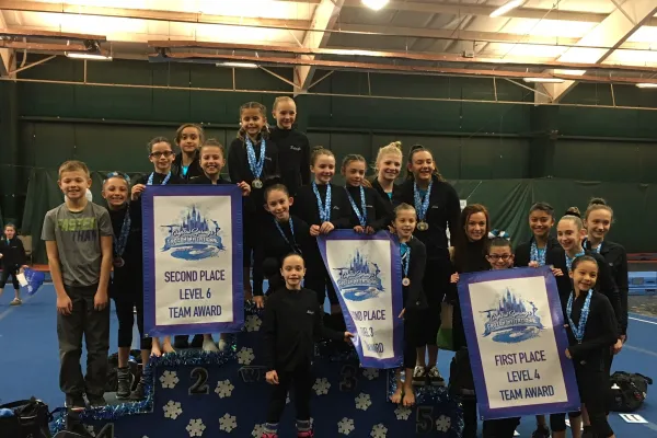 Gymnastics Inc Picture 5