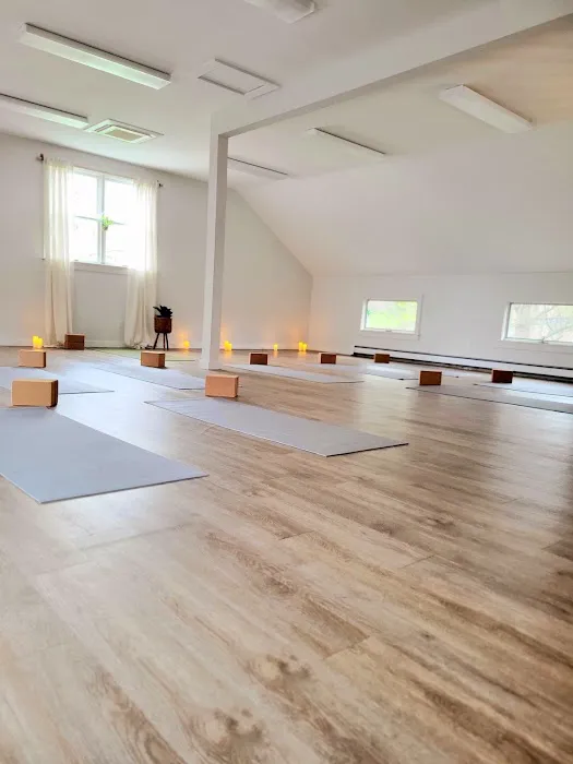 Rooted Yoga Picture 1