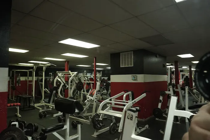 Synergy Fitness Picture 2