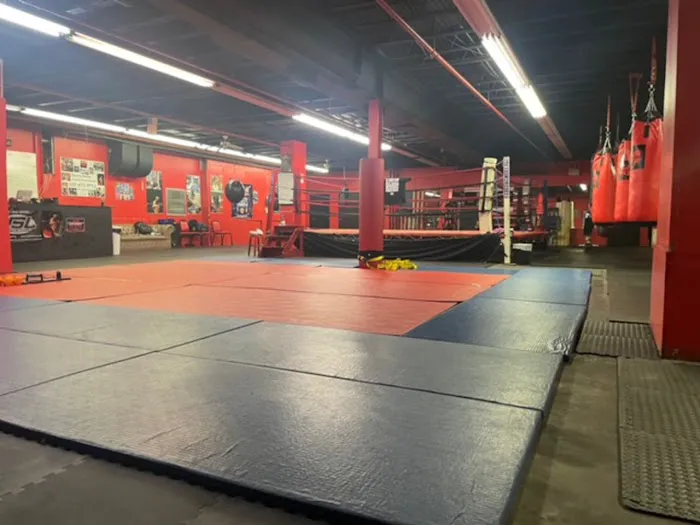 Shaolin Boxing Club and Promotions Picture 4
