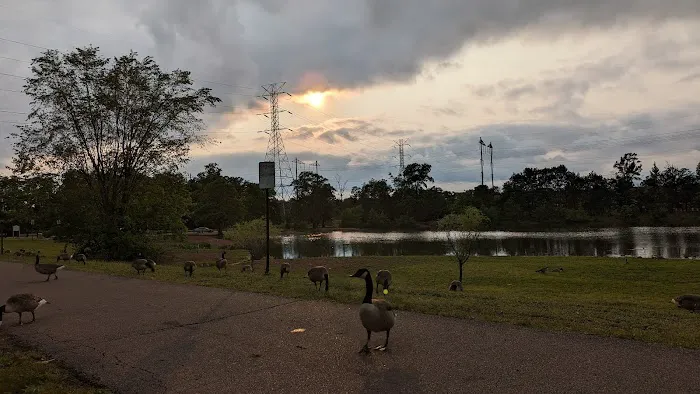 Papaiani Park Picture 4