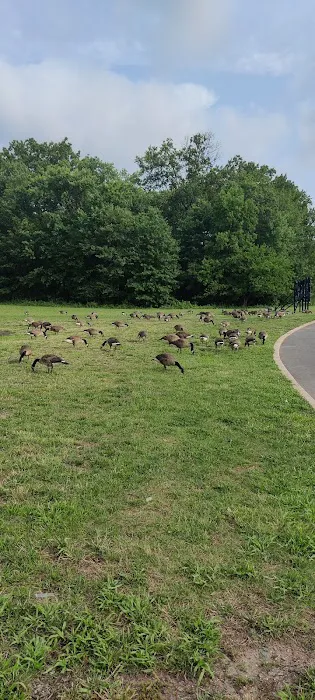 Papaiani Park Picture 1