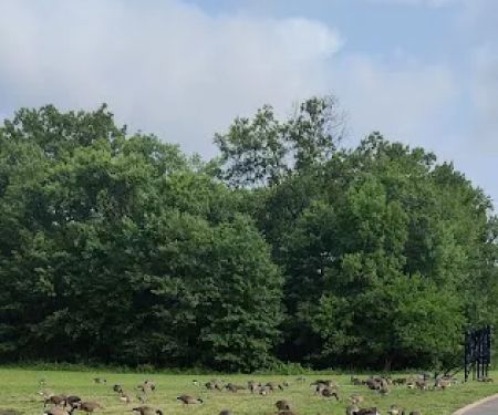 Papaiani Park