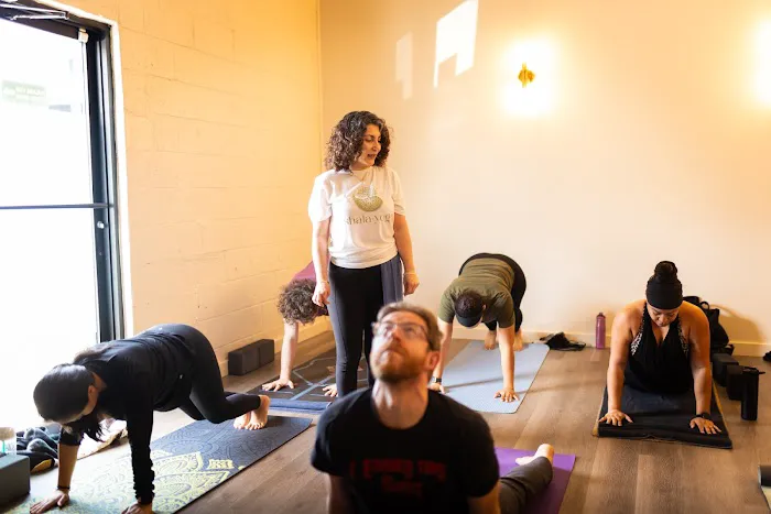 Shala Yoga Picture 6