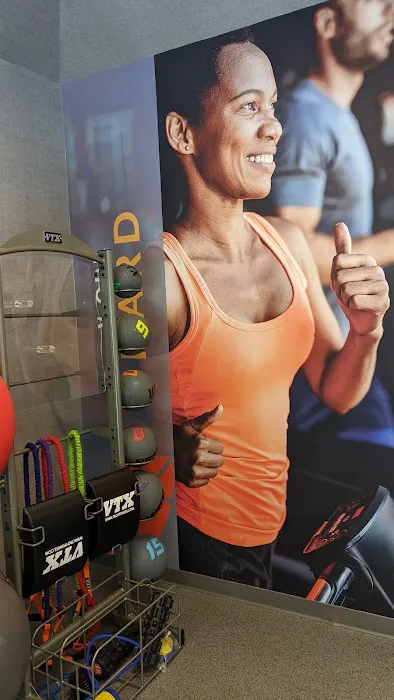 BLUEBERRY & EDISON VILLAGE GYM Picture 6
