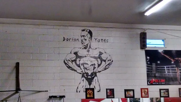 Apollon Gym Picture 2