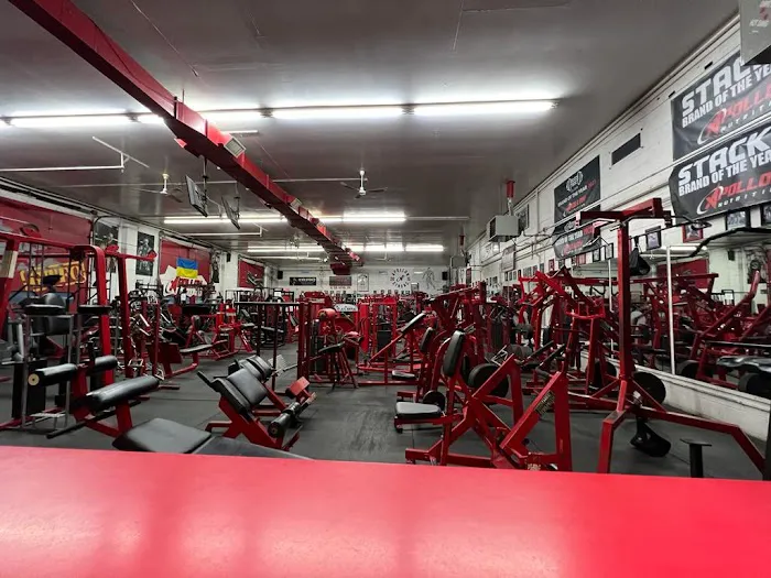 Apollon Gym Picture 10
