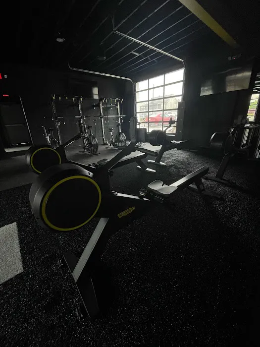 Alpha Fit Club Picture 1