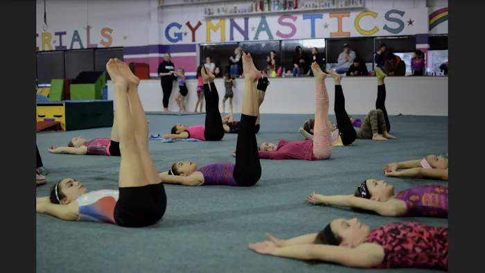 Aerials Gymnastics Picture 6