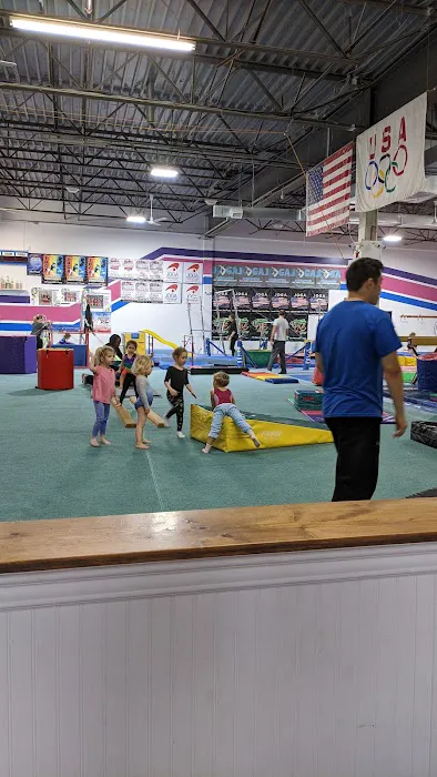 Aerials Gymnastics Picture 5
