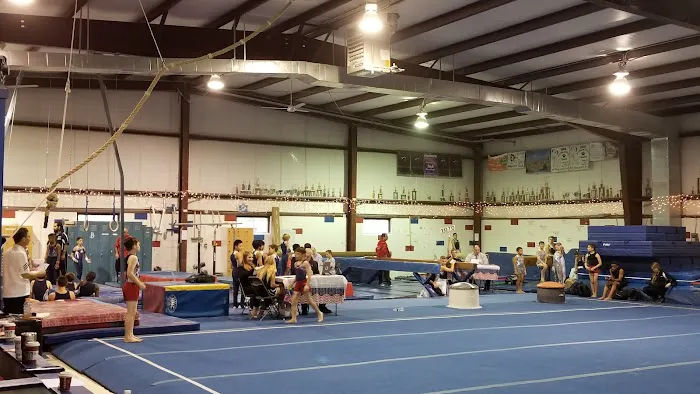 All American Gymnastics LLC Picture 2