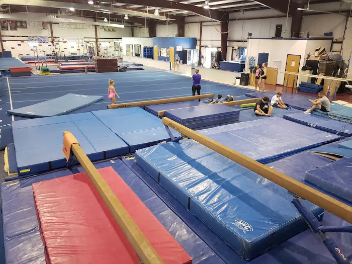 All American Gymnastics LLC Picture 9