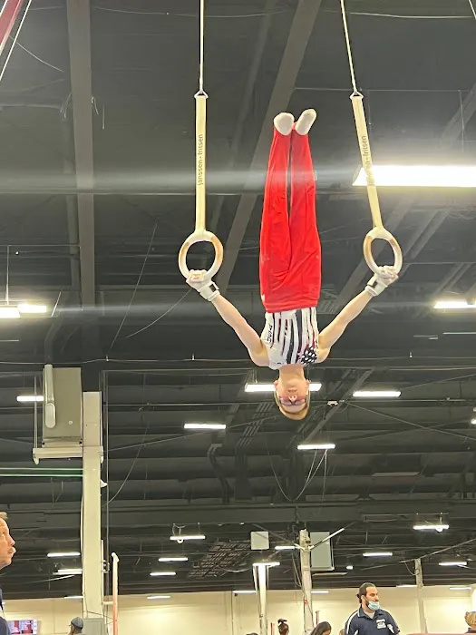 All American Gymnastics LLC Picture 10