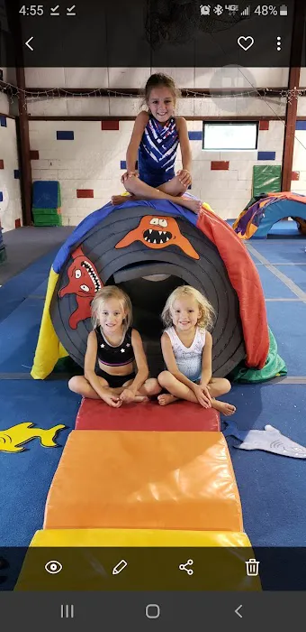 All American Gymnastics LLC Picture 7