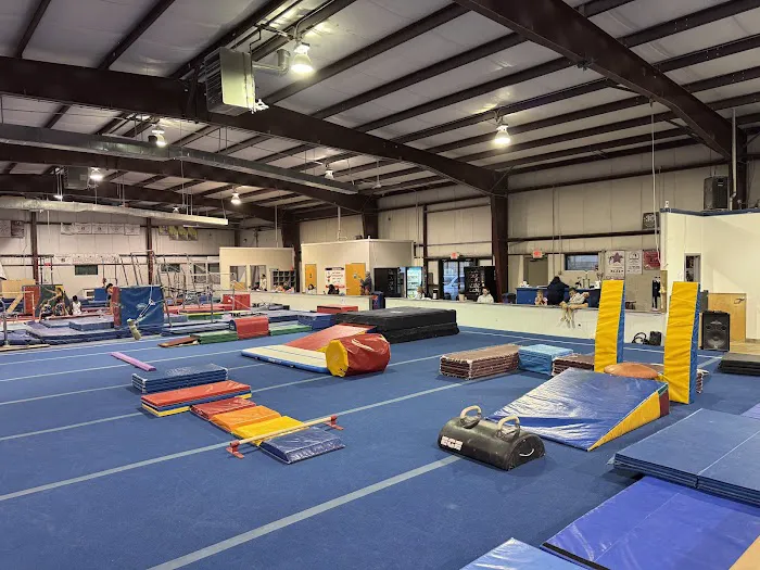 All American Gymnastics LLC Picture 8