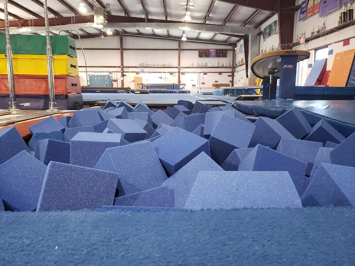 All American Gymnastics LLC Picture 6
