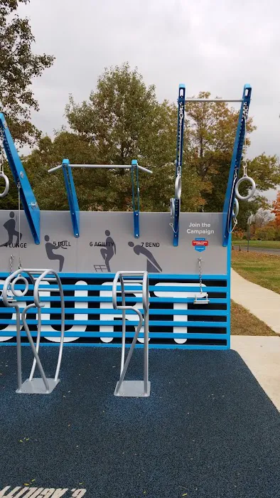 Fitness Court at Buccleuch Park Picture 10