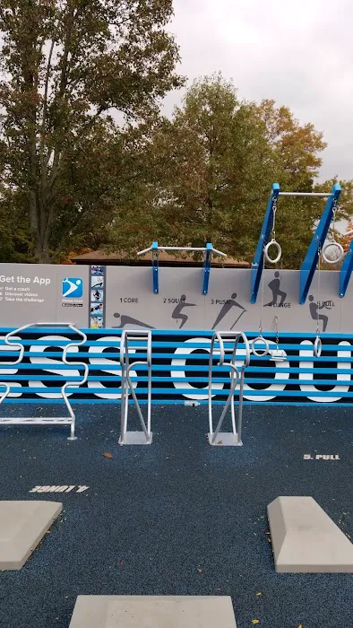 Fitness Court at Buccleuch Park Picture 9