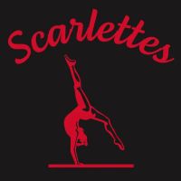 Scarlet Knights Gymnastics Academy ico