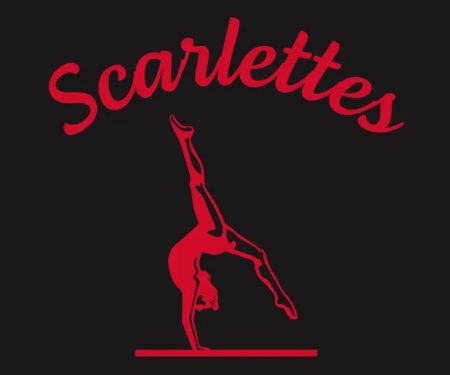 Scarlet Knights Gymnastics Academy