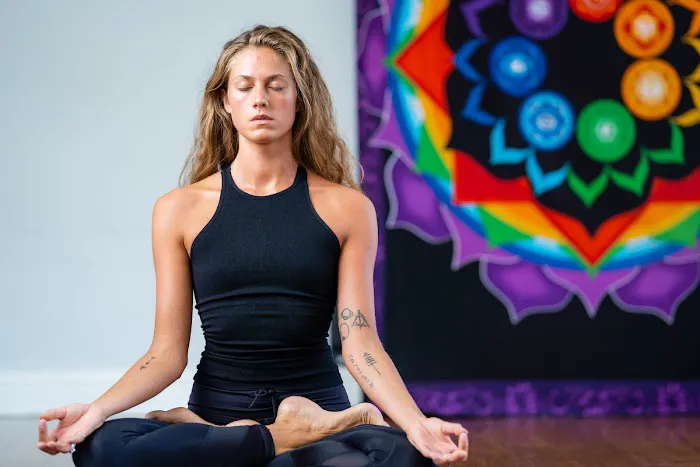 Karma Barre & Yoga Studio and Boutique Picture 6