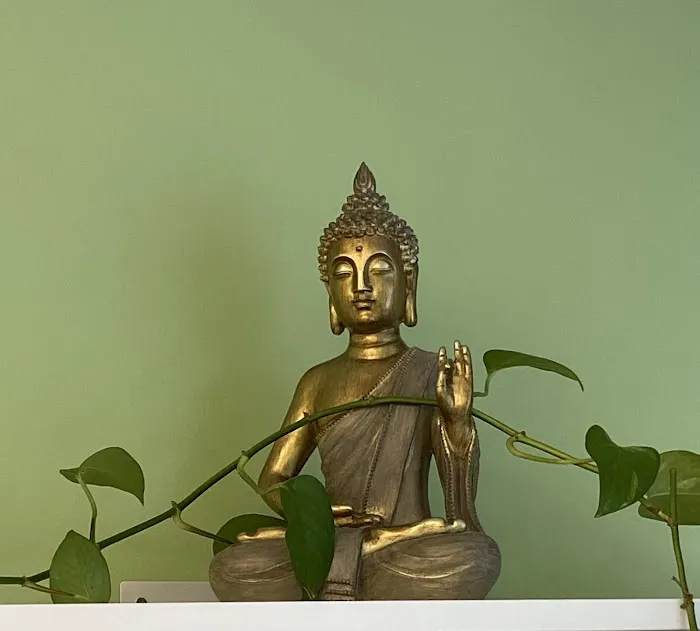 Green Lotus Yoga & Wellness Picture 1