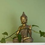 Green Lotus Yoga & Wellness