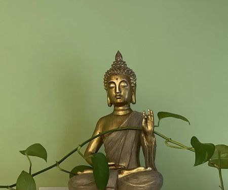 Green Lotus Yoga & Wellness