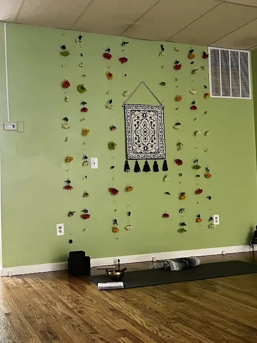 Green Lotus Yoga & Wellness Picture 4