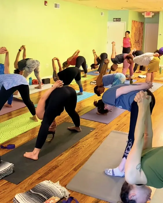 Green Lotus Yoga & Wellness Picture 8