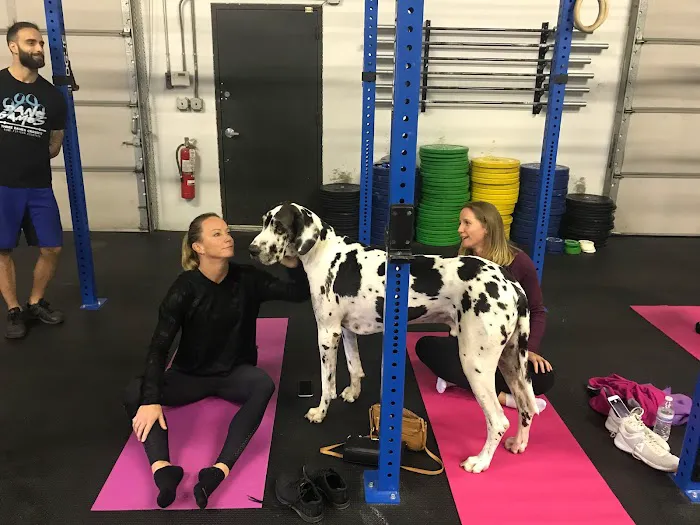 Three Danes Wellness Picture 7