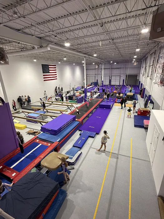 Sisters Gymnastics Academy Picture 4