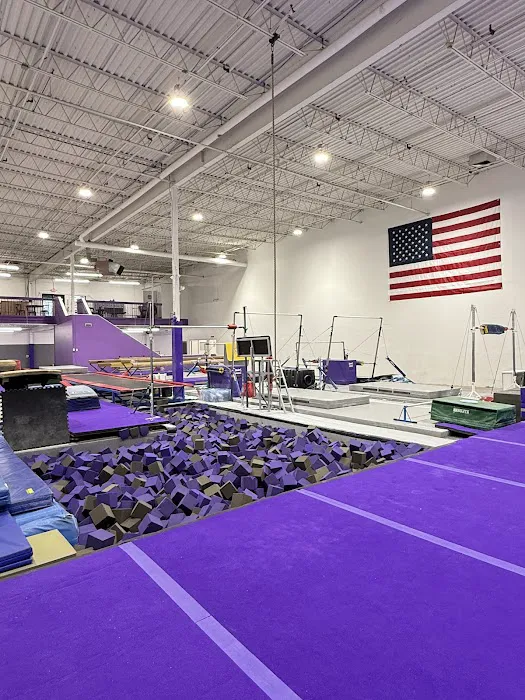 Sisters Gymnastics Academy Picture 6