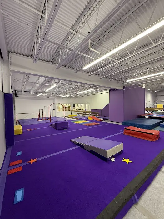 Sisters Gymnastics Academy Picture 2