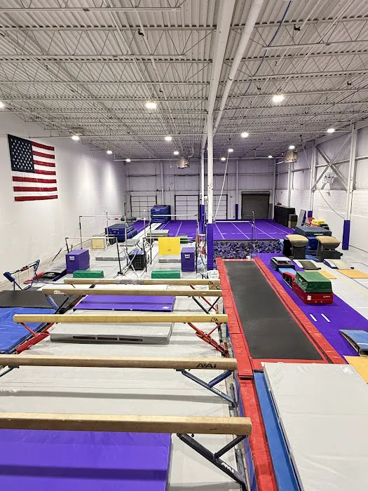 Sisters Gymnastics Academy Picture 5
